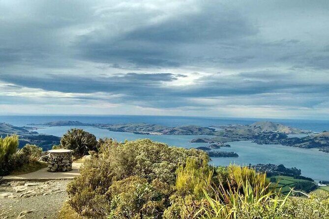 Dunedin 4 Hrs halfday Private Tour - FAQ: Your Questions About the Dunedin Private Tour