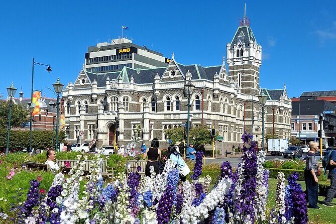 Dunedin and Otago Peninsula Tours For Up To 4 people - Exploring Dunedin and Otago Peninsula in Depth