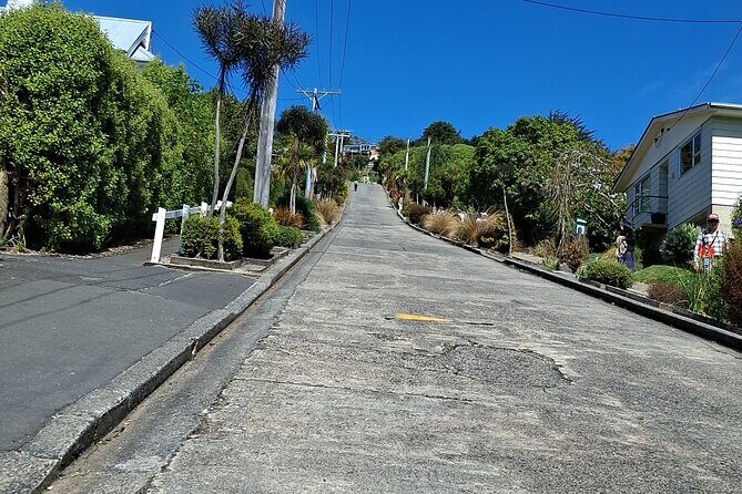 Dunedin and Otago Peninsula Tours For Up To 4 people - Final Thoughts