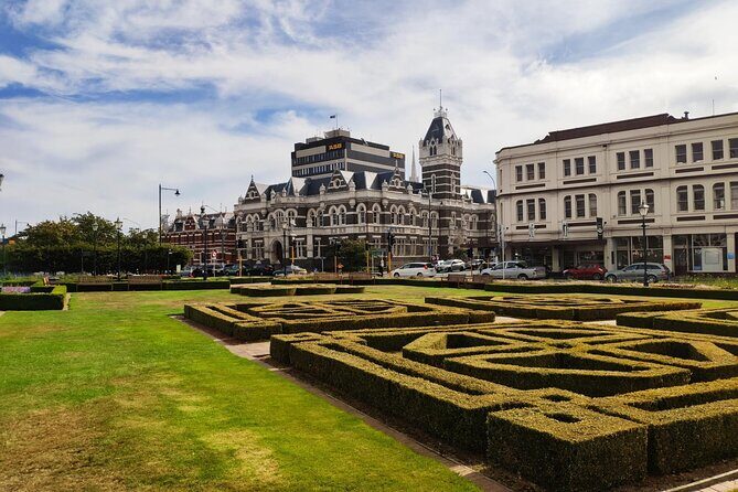 Dunedin City and Coastal Views 3-Hour Small-Group Guided Tour - Who Should Book This Tour?