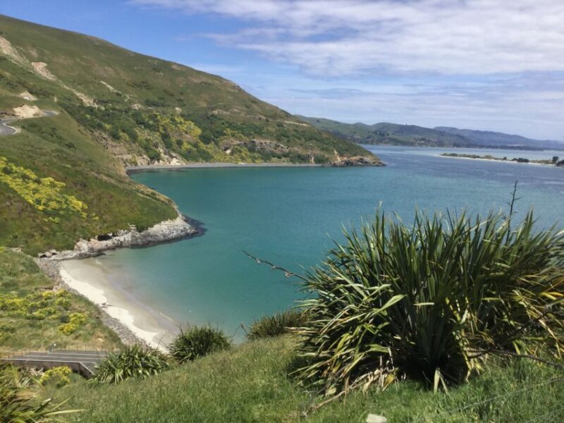 Dunedin: City Highlights and Otago Peninsula Scenery - Who Will Enjoy This Tour?