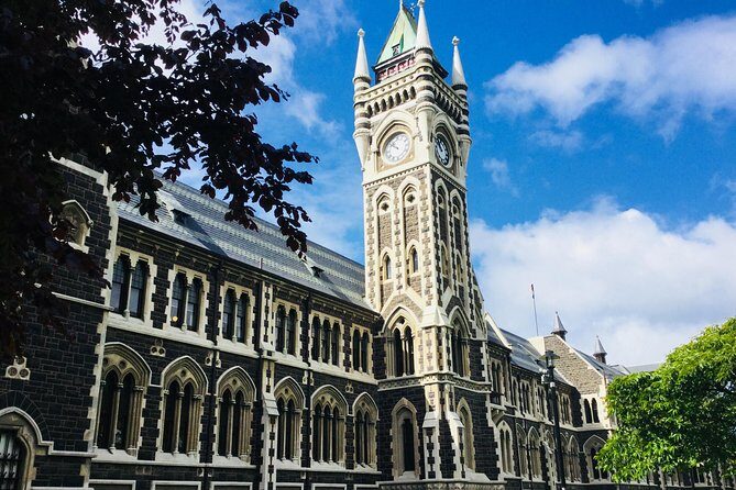 Dunedin City Highlights, Otago Peninsula Scenery & a Guided Penguin Reserve Tour - Who Should Book This Tour?