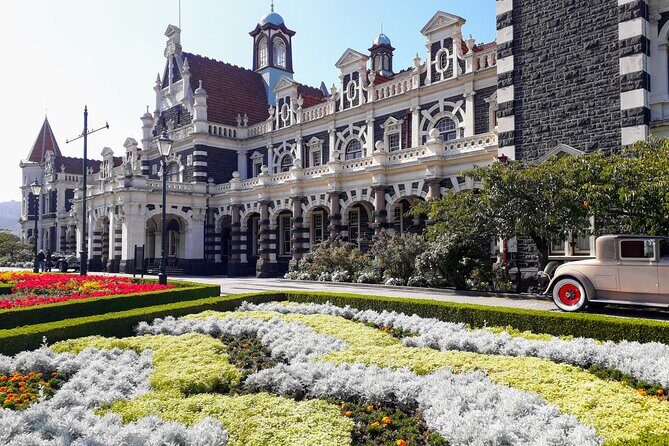 Dunedin City Highlights, Otago Peninsula Scenery & a Guided Penguin Reserve Tour - Final Thoughts
