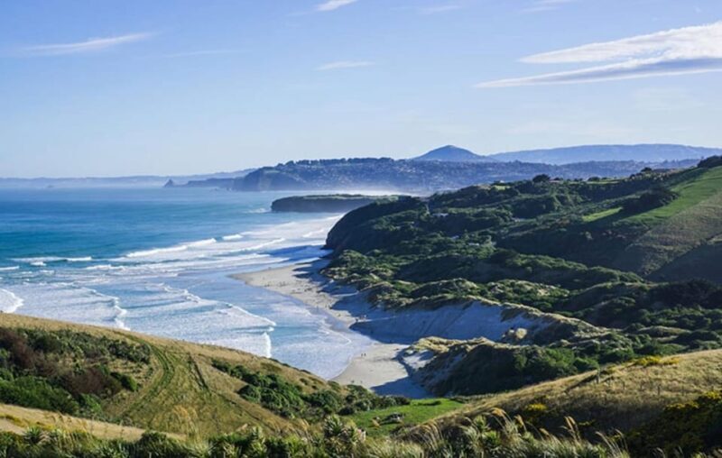 Dunedin City & Otago Peninsula Scenery Day Tour - Discover Dunedin and Otago Peninsula in One Scenic Day