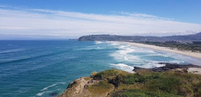 Dunedin City & Otago Peninsula Scenery Day Tour - The Value of an Authentic Experience