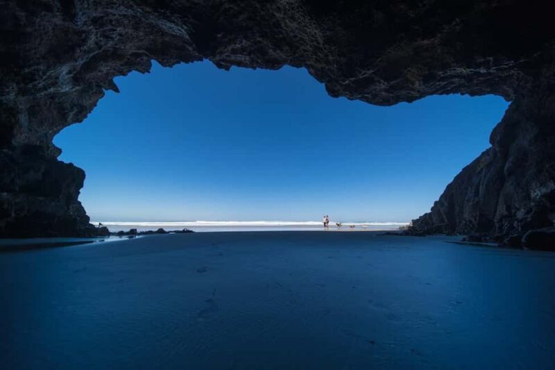 Dunedin City & Otago Peninsula Scenery Day Tour - Final Thoughts: The Perfect Day Out