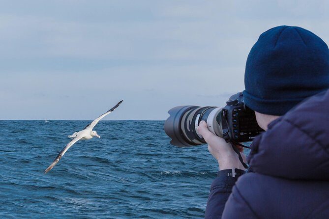 Dunedin City to Sea Wildlife Cruise + Peninsula Bus Tour - An In-Depth Look at Dunedin’s Wildlife Cruise + Peninsula Bus Tour