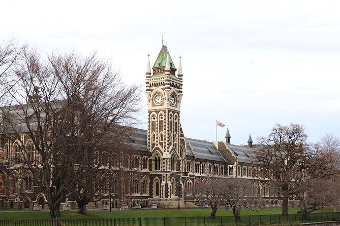 Dunedin City, Wildlife and Larnach Castle - An In-Depth Look at the Tour