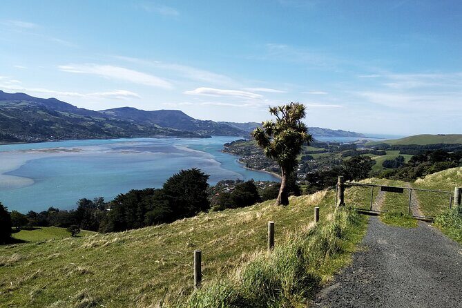 Dunedin City, Wildlife and Larnach Castle - FAQ