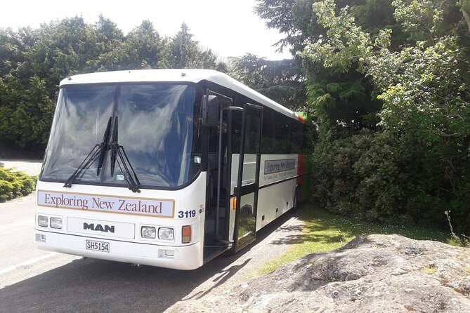 Dunedin Nature & City Tour  Full Day Cruise Excursion - A Detailed Look at Dunedin’s Highlights