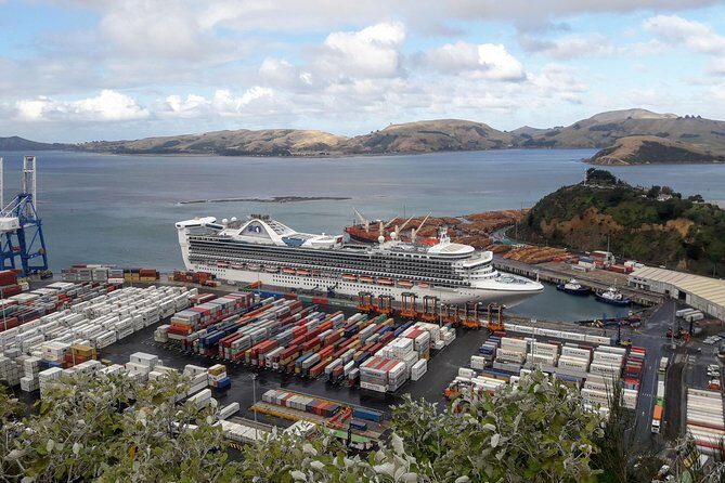 Dunedin Nature & City Tour  Full Day Cruise Excursion - The Sum Up