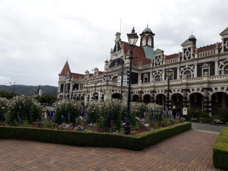 Dunedin: Otago Peninsula with Guided Penguin Tour - The Pinnacle: Yellow-eyed Penguins at The Opera