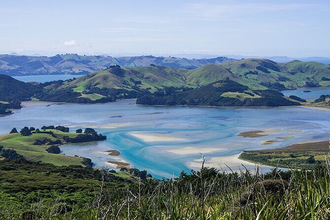 Dunedin Shore Excursion City Sightseeing & Tour of Larnach Castle - FAQs