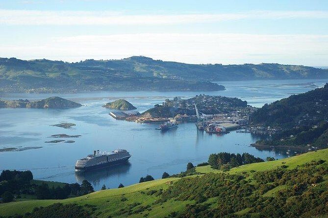 Dunedin Shore Excursion - Sightseeing, Larnach Castle, Chinese Garden & Museum - Authentic Experiences from Reviews