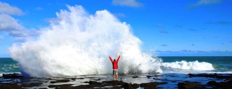 Dunedin to Invercargill via the Catlins (one-way tour) - Key Points