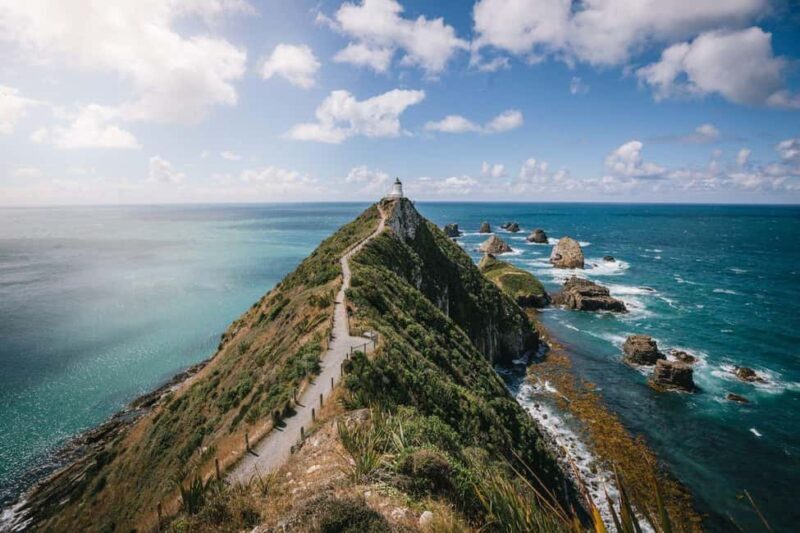 Dunedin to Invercargill via the Catlins (one-way tour) - A Detailed Look at the Dunedin to Invercargill Tour