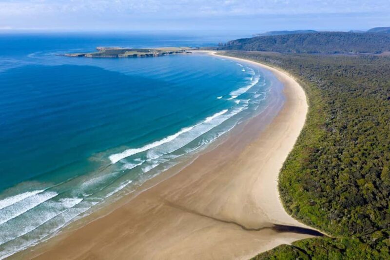 Dunedin to Te Anau via The Catlins & Invercargill 1 Way Tour - Who Should Consider This Tour?