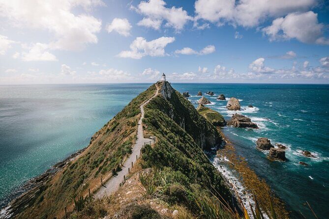 Dunedin to Te Anau via the Catlins One Way Small Group Tour - Frequently Asked Questions