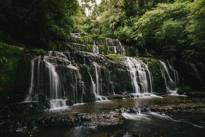 Dunedin to Te Anau via the Catlins One Way Small Group Tour - Final Thoughts