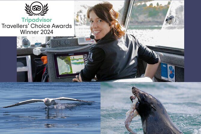 Dunedin Wildlife Cruise-Albatross, seals and harbour - Final Thoughts