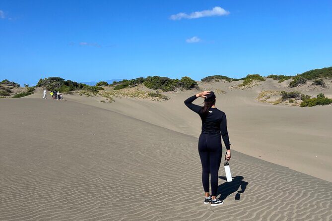 Dunes Snorkeling Tour Outside Santo Domingo - Dunes Snorkeling Tour Outside Santo Domingo: A Perfect Mix of Desert, Marine Life, and Local Charm