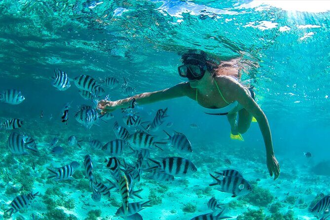 Dunes Snorkeling Tour Outside Santo Domingo - Key Points