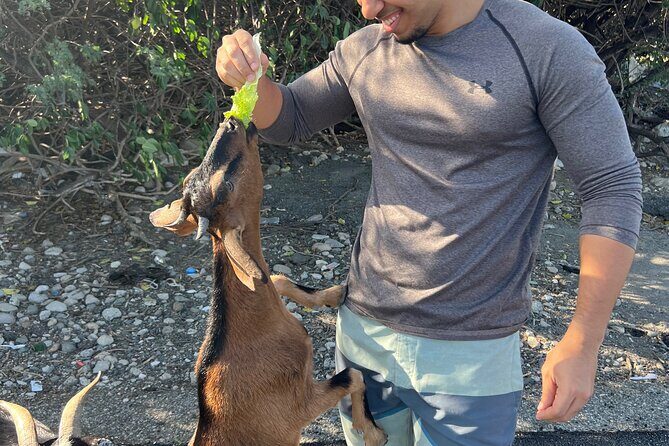 Dunes Snorkeling Tour Outside Santo Domingo - Final Thoughts: Is This Tour Right for You?