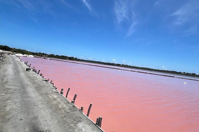 Dunes Snorkeling Tour Outside Santo Domingo - Final Words