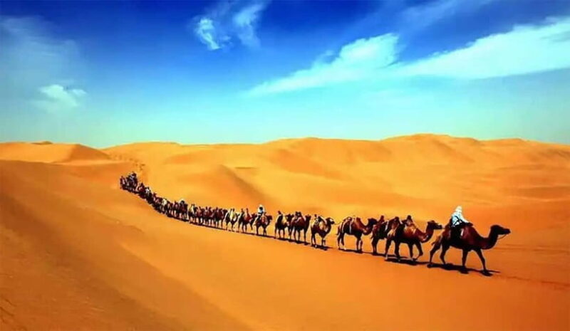 Dunhuang: Mingsha Mountain, Crescent Lake & Museum Tour - The Sum Up