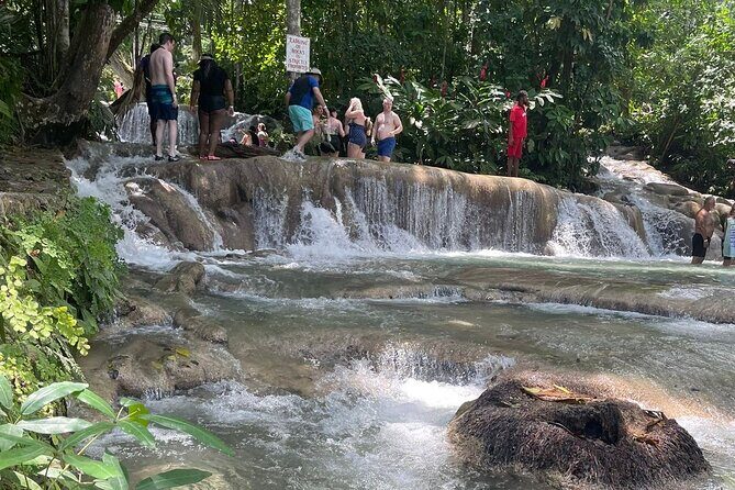 Dunn River Falls from Montego Bay Private Tour - An In-Depth Look at the Dunn River Falls Private Tour