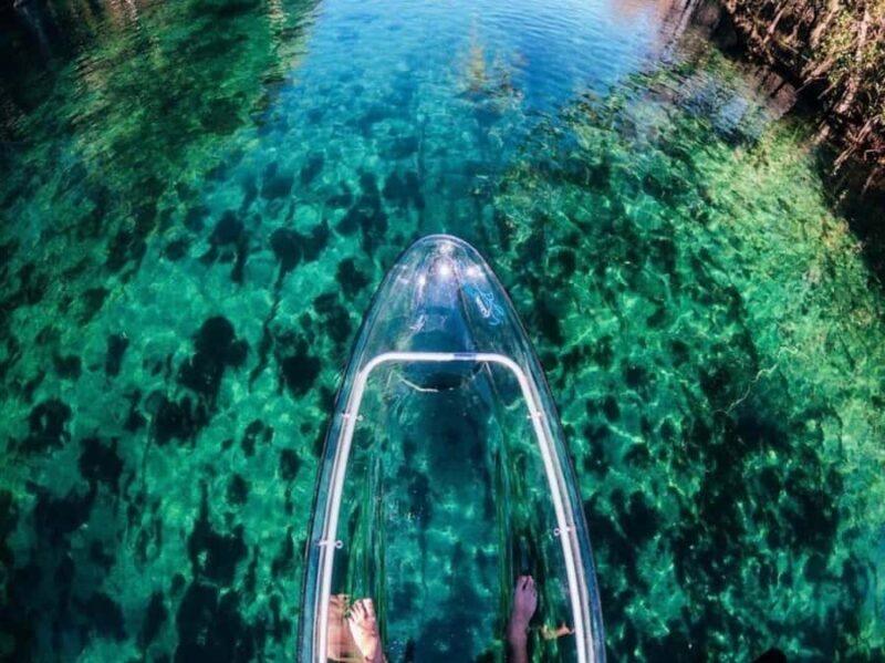 Dunnellon: Rainbow Springs Clear Kayak Guided Tour - Key Points