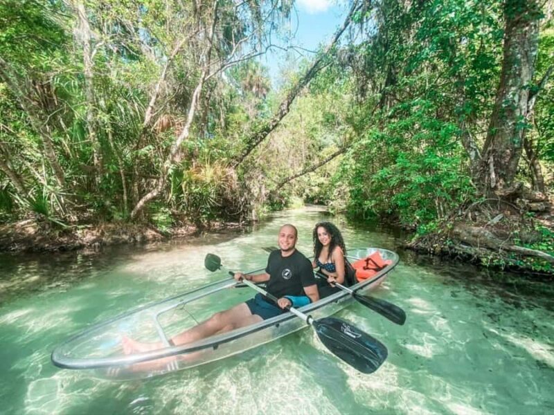 Dunnellon: Rainbow Springs Clear Kayak Guided Tour - What to Expect from the Rainbow Springs Kayak Tour