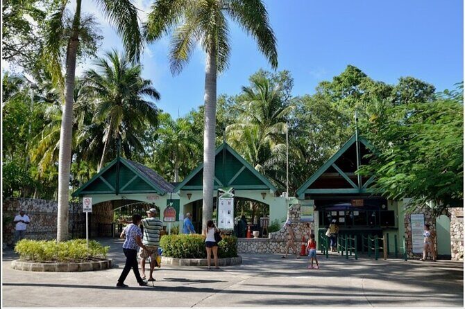 Dunn's River Fall's - Authentic Experiences and Honest Reviews