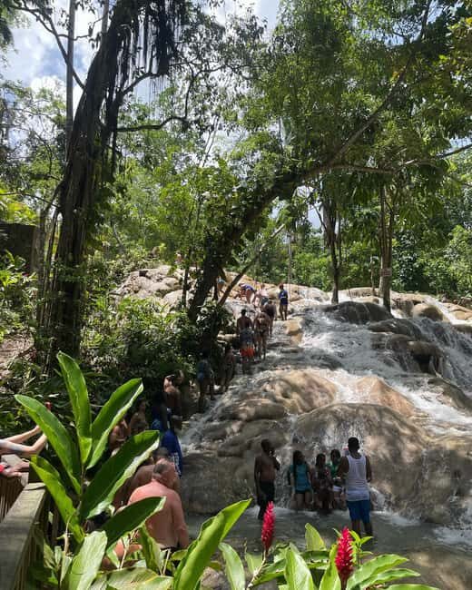 Dunns River Falls and Atv Adventure from Falmouth/ Trelawny - Key Points