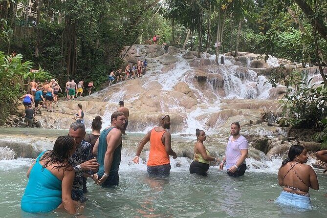 Dunn's River Falls and Blue Hole Islsnd Gully Combo - An In-Depth Look at the Dunns River Falls and Blue Hole Islands Gully Combo