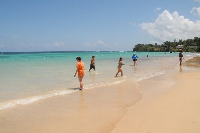 Dunns River Falls and Blue Hole Ocho Rios - Who Should Consider This Tour?