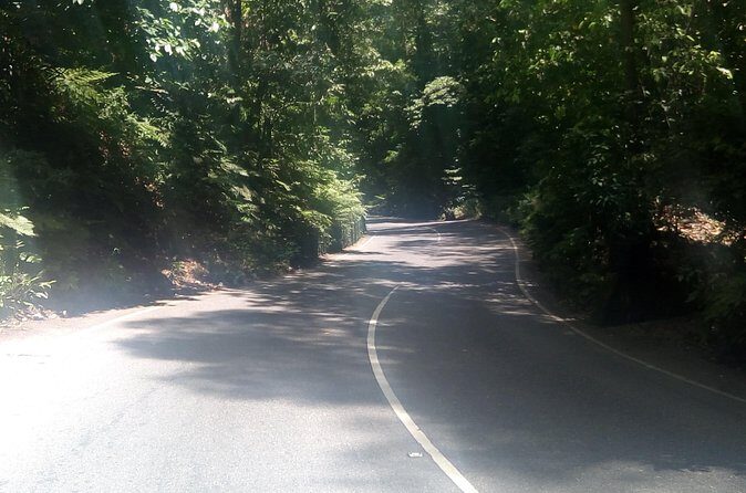 Dunn's River Falls and Fern Gully Highlight Adventure Tour from Runaway Bay - The Sum Up