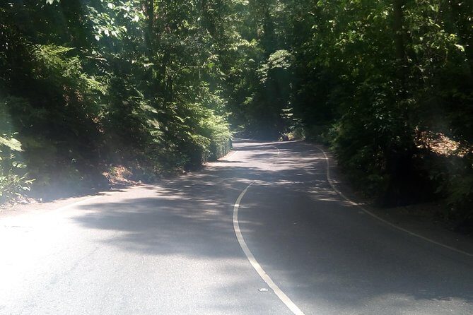 Dunn's River Falls and Fern Gully Highlight Adventure Tour from Runaway Bay - FAQ