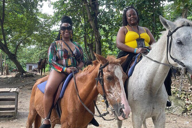 Dunns River Falls and horseback riding activity - A Detailed Look at the Dunns River Falls and Horseback Riding Tour