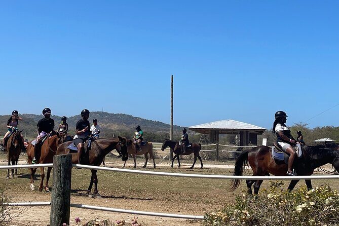 Dunns River Falls and horseback riding activity - FAQs