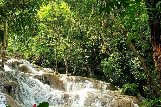 Dunns River Falls and Horseback Riding Tour from Montego Bay - Who Will Love This Tour?