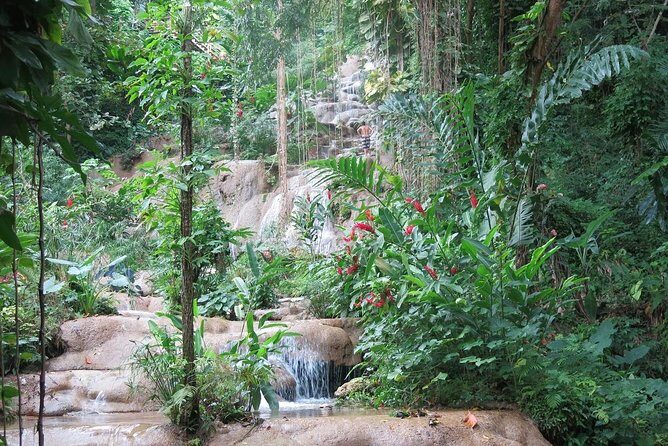 Dunns River Falls and Konoko Garden - Who Should Consider This Tour?