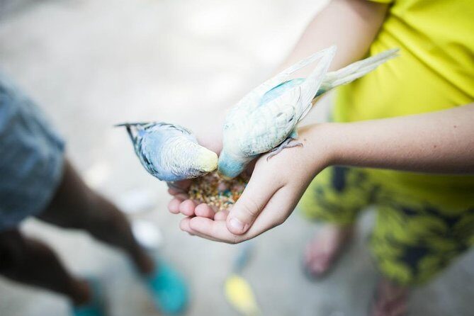 Dunns River Falls and Konoko Garden - FAQs