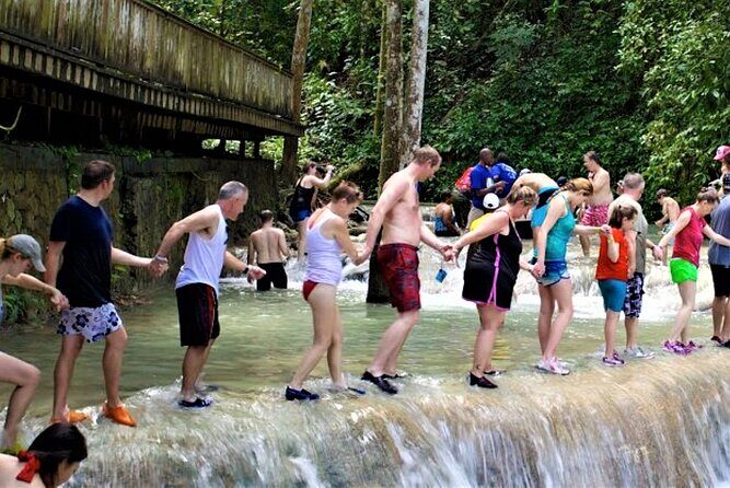 Dunn's River Falls and Luminous Lagoon Guided Tour from Grand Palladium - Key Points