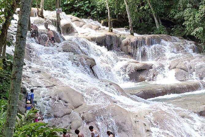 Dunn's River Falls and Martha Brea Bamboo rafting with admissions - Key Points