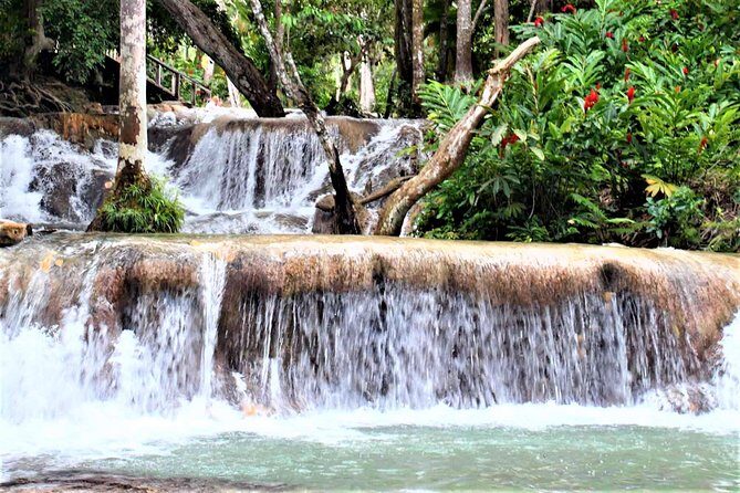 Dunn's River Falls and Ocho Rios Shopping Tour from Grand Palladium Resorts - Exploring the Dunns River Falls and Ocho Rios Tour in Detail