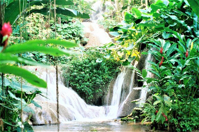 Dunn's River Falls and Ocho Rios Shopping Tour from Montego Bay Hotels - The Value of the Tour