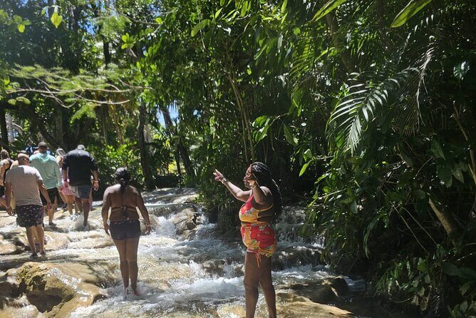 Dunn's River Falls and Ocho Rios Sightseeing with Shopping - A Closer Look at the Dunn’s River Falls & Ocho Rios Tour