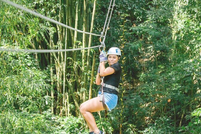 Dunn's River Falls and Park Tour with Zip Line from Montego Bay - Key Points