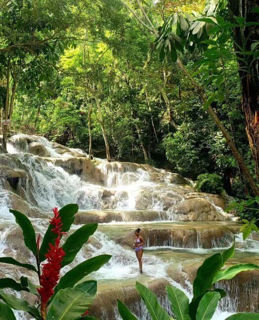 Dunn's River Falls and Zipline Adventure - Key Points